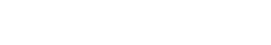 Flag_mmc_25-2